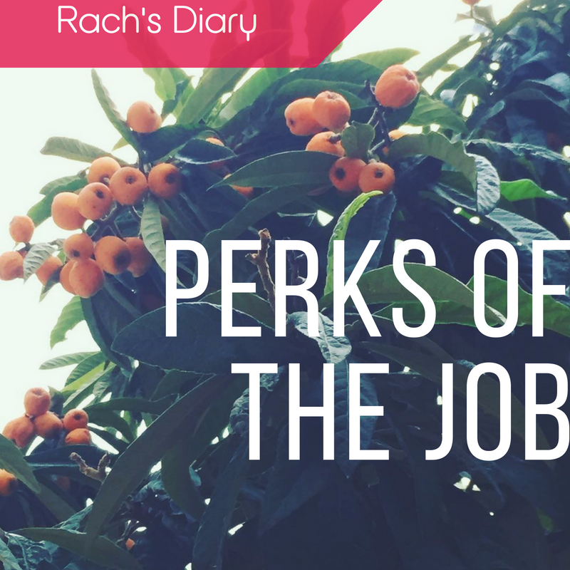 Perks of the job Diary (2)