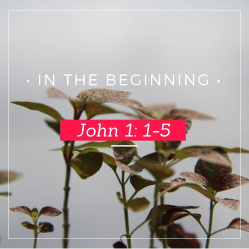 in the beginning