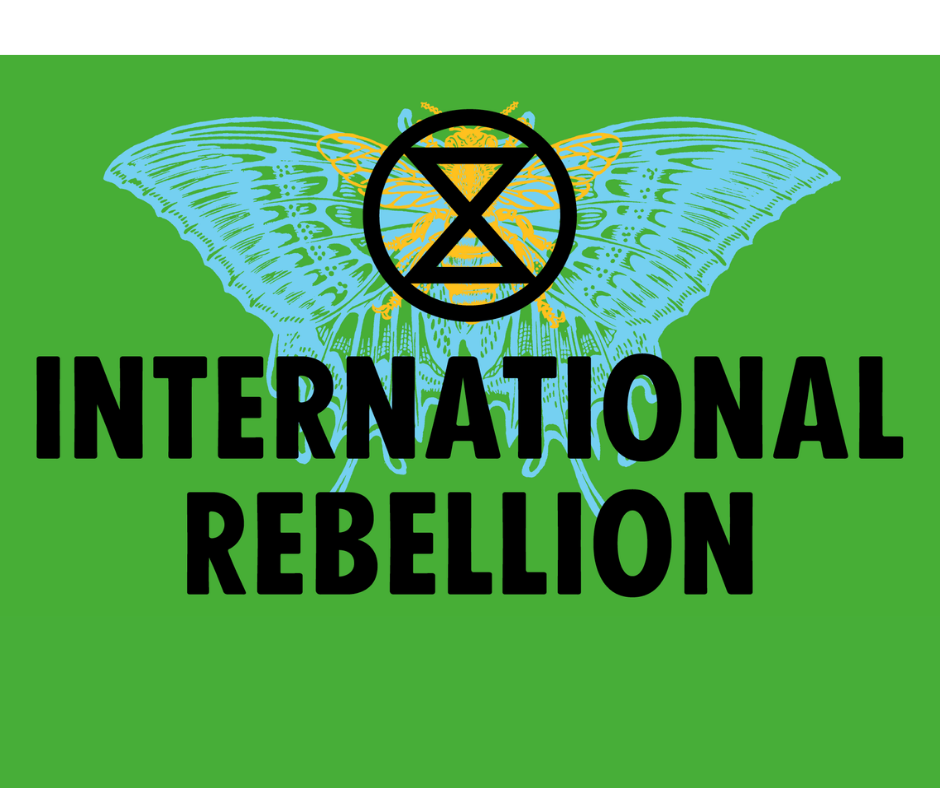 International Rebellion (2)