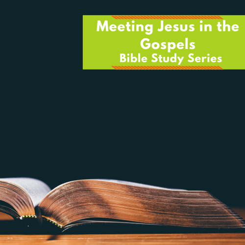 Bible Study Series