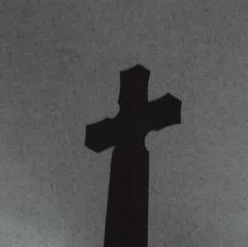 137 Cover Image
