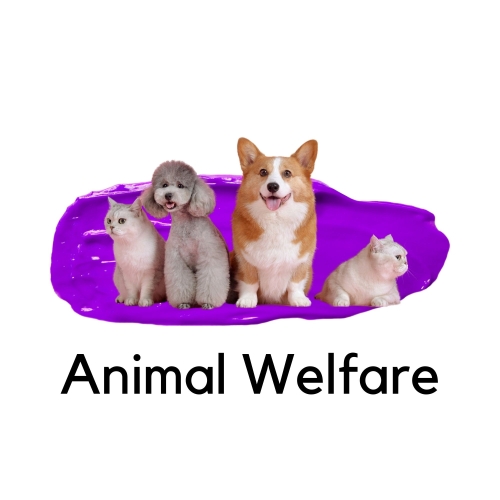 Animal Welfare
