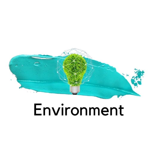 Environment